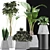 Exotic Plants Collection: Alocasia, Sansevieria, Schefflera & Agave 3D model small image 3