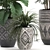 Exotic Plant Collection: Raphis Palm, Alocasia, and Chlorophytum 3D model small image 3