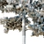  Lifelike Pinus Syluestriformis Set - 3 Stunning Model Variants 3D model small image 1