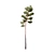  Lifelike Pinus Syluestriformis Set - 3 Stunning Model Variants 3D model small image 3