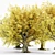 Autumn Splendor: American Beech Tree Collection 3D model small image 3