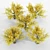 Autumn Splendor: American Beech Tree Collection 3D model small image 4