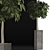 Exotic Plants Collection: Schefflera Arboricola 3D model small image 3