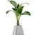 Exotic Alocasia Plant Collection 48 3D model small image 2