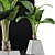 Exotic Alocasia Plant Collection 48 3D model small image 3