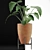 Exotic Alocasia Plant Collection 3D model small image 3