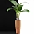 Exotic Alocasia: Plants Collection 53 3D model small image 3