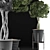 Exotic Schefflera: Perfect for Office & Outdoor Decor 3D model small image 3