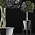 Exotic Schefflera: Perfect for Office & Outdoor Decor 3D model small image 4