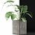 Exotic Alocasia: Perfect Decor for Office 3D model small image 2