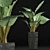 Tropical Elegance: Alocasia Collection 3D model small image 1