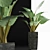 Tropical Elegance: Alocasia Collection 3D model small image 2