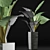 Tropical Elegance: Alocasia Collection 3D model small image 3