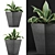 Tropical Oasis: 60 Sansevieria Plants Collection 3D model small image 1