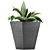 Tropical Oasis: 60 Sansevieria Plants Collection 3D model small image 2