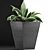 Tropical Oasis: 60 Sansevieria Plants Collection 3D model small image 3