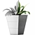 Tropical Oasis: 60 Sansevieria Plants Collection 3D model small image 4