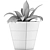 Tropical Oasis: 60 Sansevieria Plants Collection 3D model small image 5