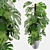 Tropical Monstera: Lush 150cm 3D model small image 2