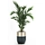 Exotic Plant Collection: Indoor & Outdoor Decor 3D model small image 2