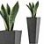 Exotic Plants Collection: Sansevieira 3D model small image 1