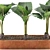 Exotic Alocasia Collection: Stunning Greenery 3D model small image 2