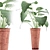 Tropical Greenery: Alocasia Collection 3D model small image 1