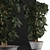 Exotic Schefflera Arboricola: Green Office Decor 3D model small image 5