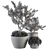 Lush Outdoor Olive Trees - Set 79 3D model small image 5