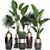 Exotic Plant Collection for Indoor and Outdoor Décor 3D model small image 1