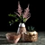 Woven Plant Set for Interior Decoration 3D model small image 2