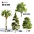 Tree016 Corona Set: Oak, Palm, Pine, Acacia Caffra 3D model small image 4
