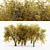 Autumn Elm Tree Collection 3D model small image 1