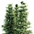 Blue Spruce Tree Collection: 3 Trees, Heights 8.9m, 8.3m, 8.5m 3D model small image 2