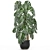 Exotic Plant Collection: Indoor & Outdoor in Luxurious Godwin Longhi Pot 3D model small image 2