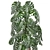 Exotic Plant Collection: Indoor & Outdoor in Luxurious Godwin Longhi Pot 3D model small image 3