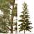 Trio Tree Set: Palm & Pine 3D model small image 12