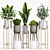 Elegant Plant Set for Home 3D model small image 2