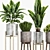 Elegant Plant Set for Home 3D model small image 4