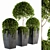 Artificial Boxwood Topiary - Set 75 3D model small image 1