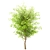 Gorgeous Set of China Tallow Trees 3D model small image 3