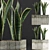 Exotic Plants Collection: Sansevieria 3D model small image 2