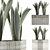 Exotic Plants Collection: Sansevieria 3D model small image 3