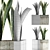 Exotic Plants Collection: Sansevieria 3D model small image 4