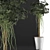 Exotic Plants Collection: 87 Schefflera Arboricola 3D model small image 3