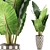 Exotic Jungle Treasures: Alocasia Plant Collection 3D model small image 1