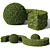 Evergreen Buxus Sempervirens Shrub 3D model small image 1