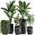 Exotic Plant Collection: Indoor and Outdoor Beauties 3D model small image 1