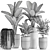 Exotic Plant Collection: Indoor and Outdoor Beauties 3D model small image 5