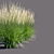 Karl Foerster Reed Grass: Elegant Calamagrostis Accent 3D model small image 2